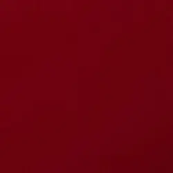 pitbull terrier 💋