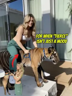 Riding tiger filter 