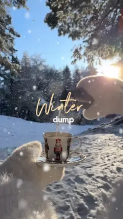 Winter Dump 