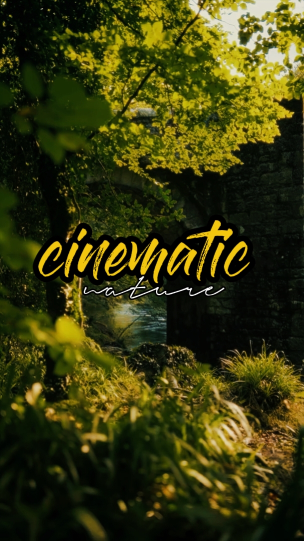 Naturaleza cinematográfica 