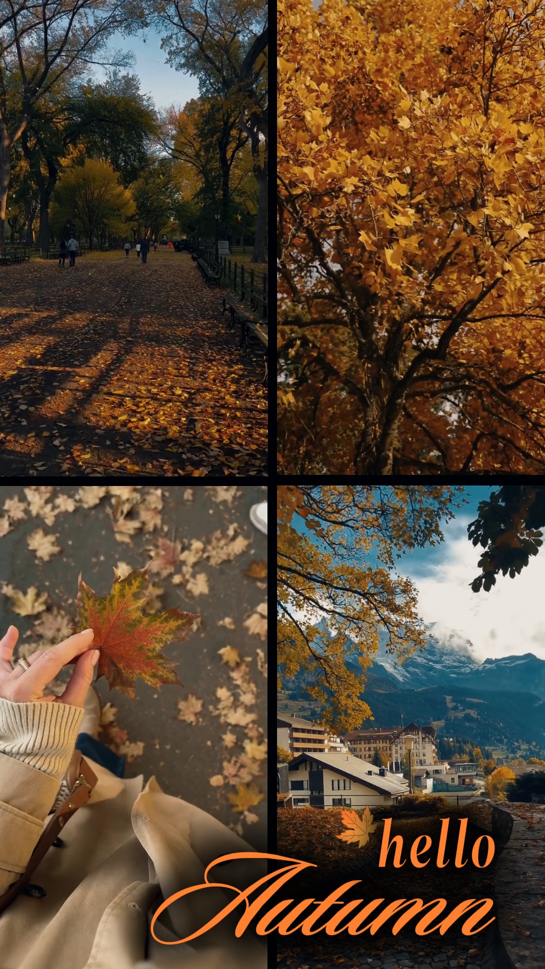 Ville d'automne