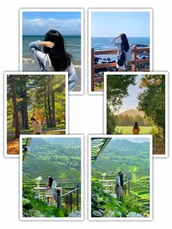 6Pic Frame Aesthetic