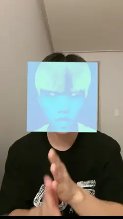 Face puzzle filter 