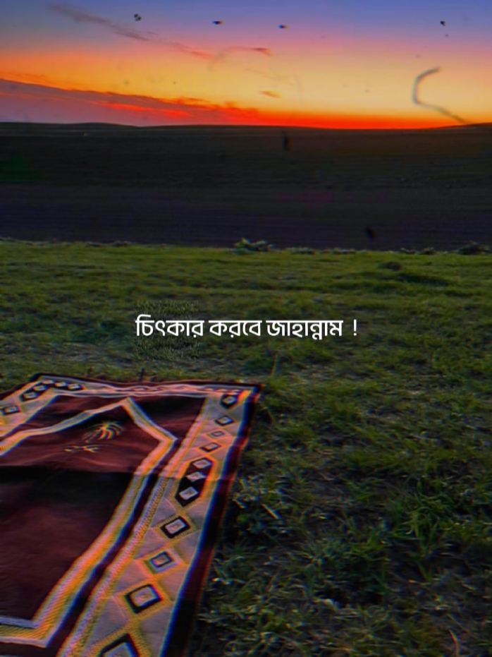 ইসলামিক ভিডিও 