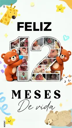 12meses colagem 