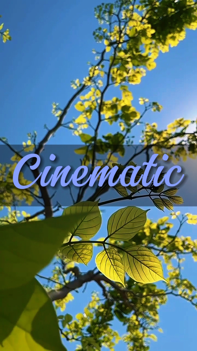 cinematic 5 videos 