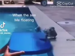 they see me floating