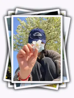 9Pic Aesthetic Frame