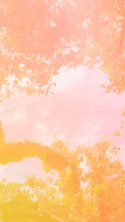 Cinematic Wedding