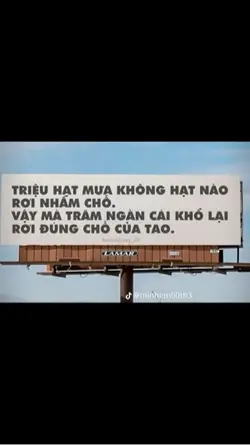 sẵn pic đầu