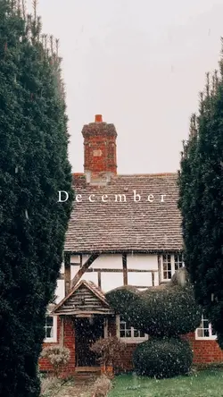December aesthetic 🤍