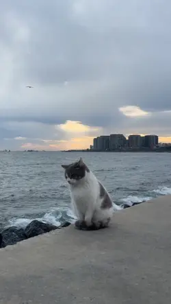 มีชีวิตไว้เพื่อใคร