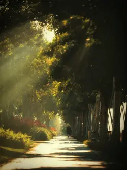 blue yungkai+frieren