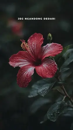 Ngandong Dedari