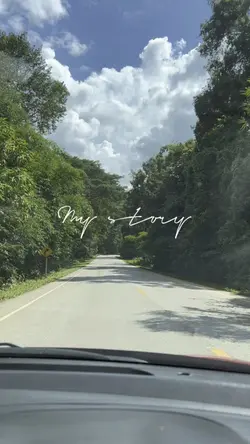 บรรยากาศ 🏕️🌲🍃