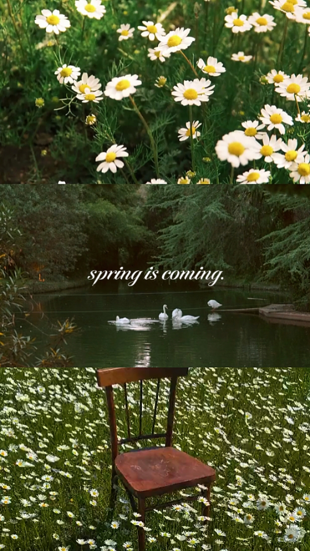 Se acerca la primavera 