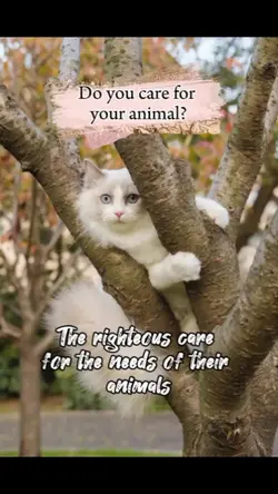 CARE FOR YOUR ANIMAL