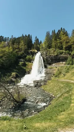 Best Nature