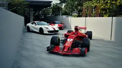 DREAM COLLECTION 
