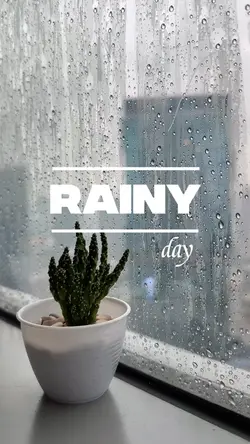 Rainy Day