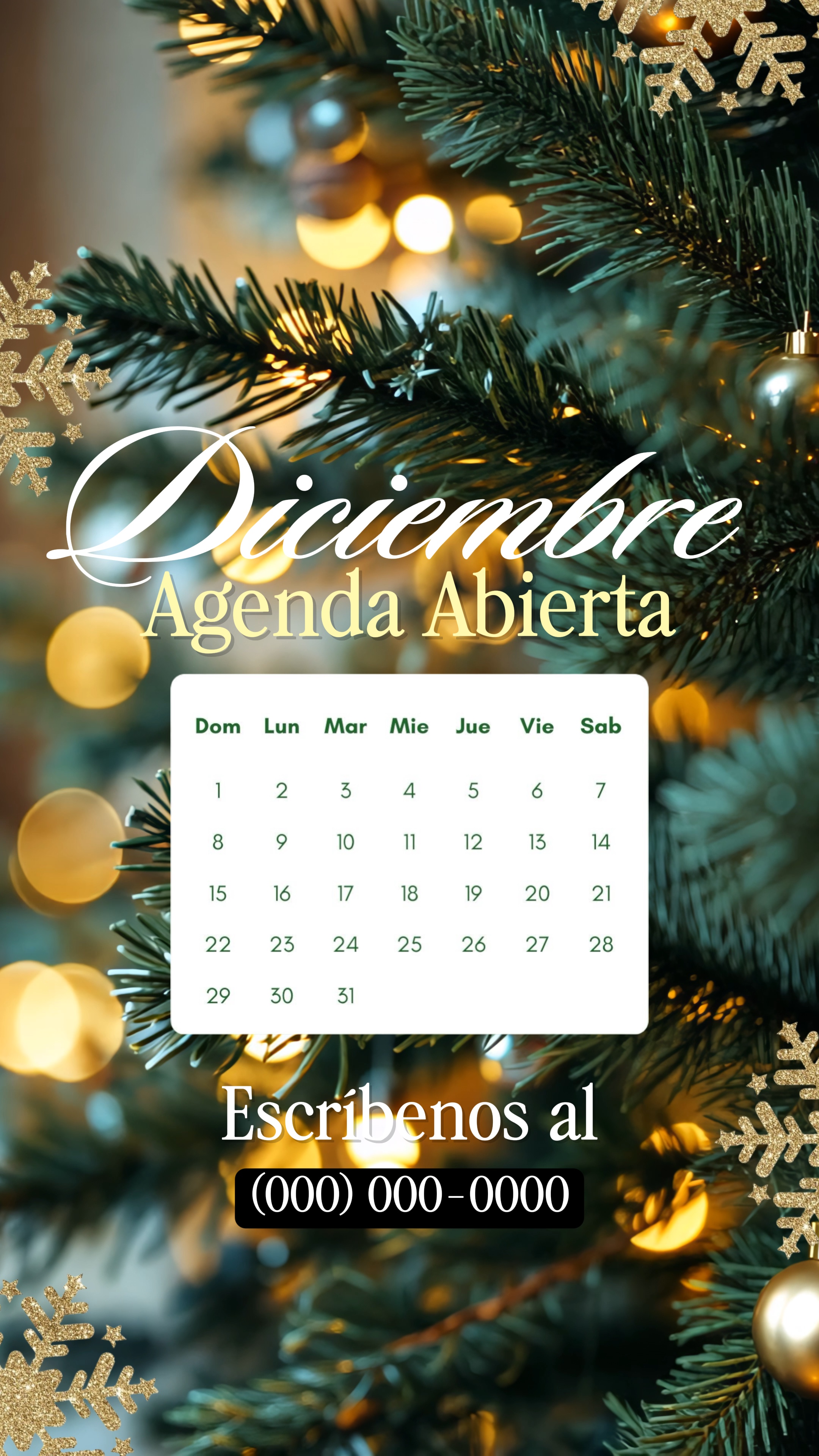 Agenda abierta 🎄