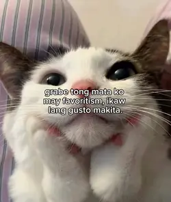 ikaw lang favoritism