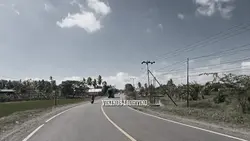 Viral viking