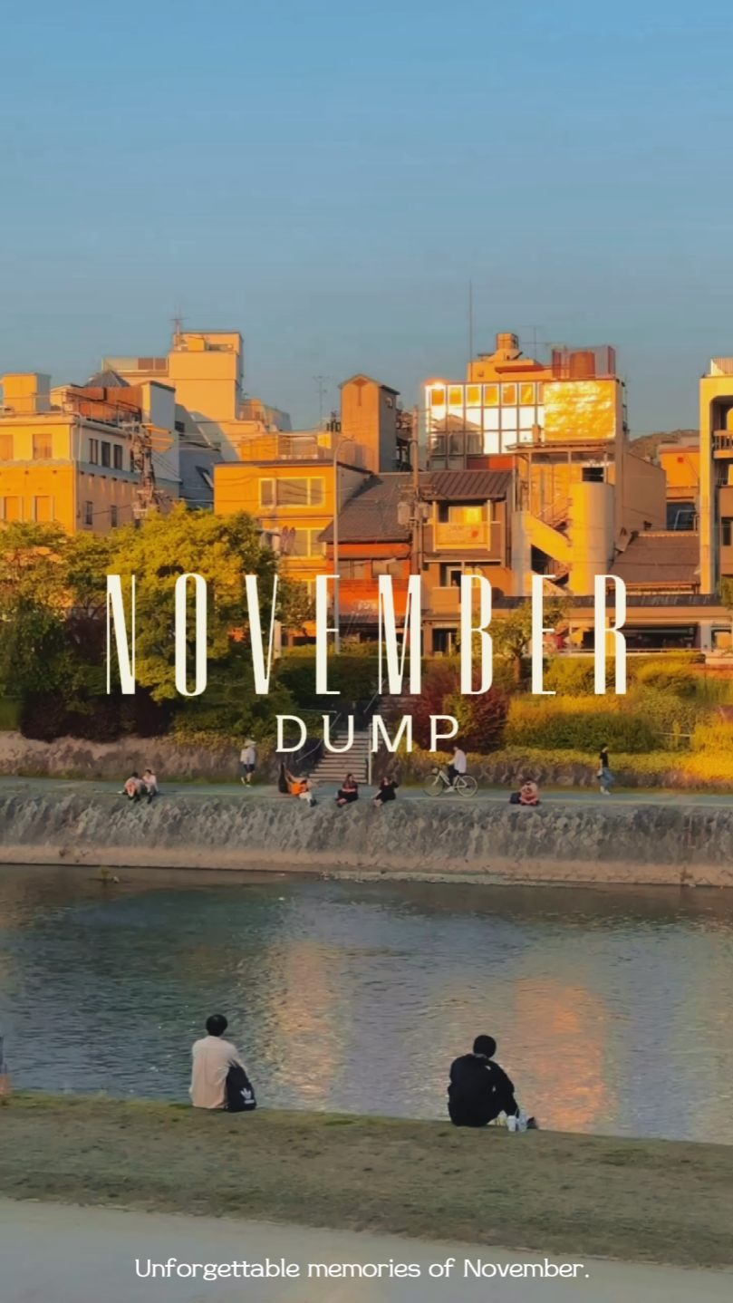 Volcado de noviembre / Resumen