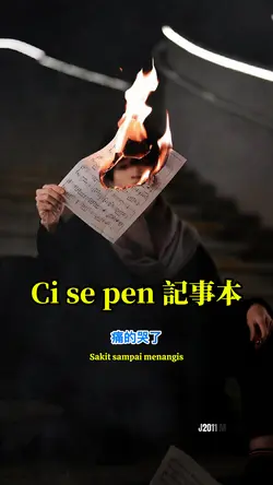 記事本 Ci se pen