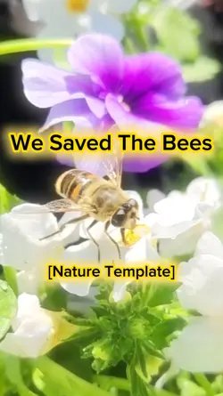 We Saved The Bees!