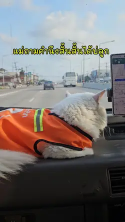 จิกตาแตก