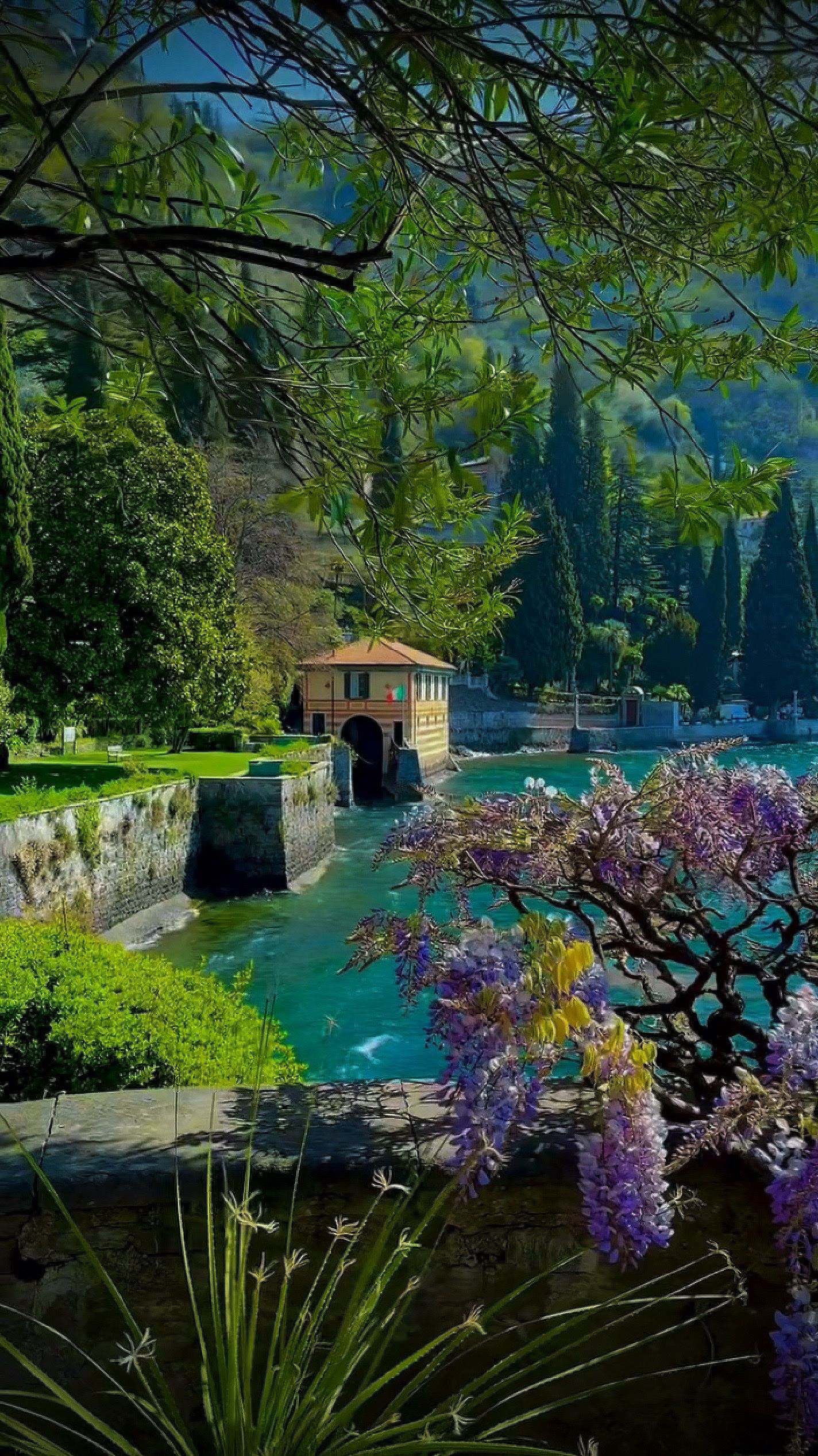 Cover Picture