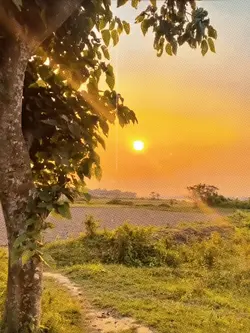 চিন্তাতে তোর 