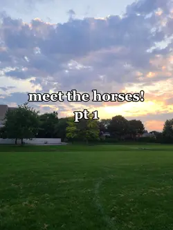 meet the horses pt 1
