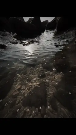 Mẫu góc rộng 🎬🎬
