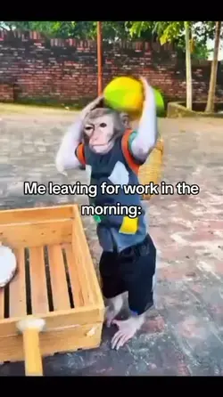 i'm off to work