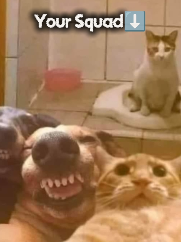 Your squad 