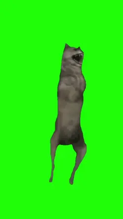Dancing Wolf Meme