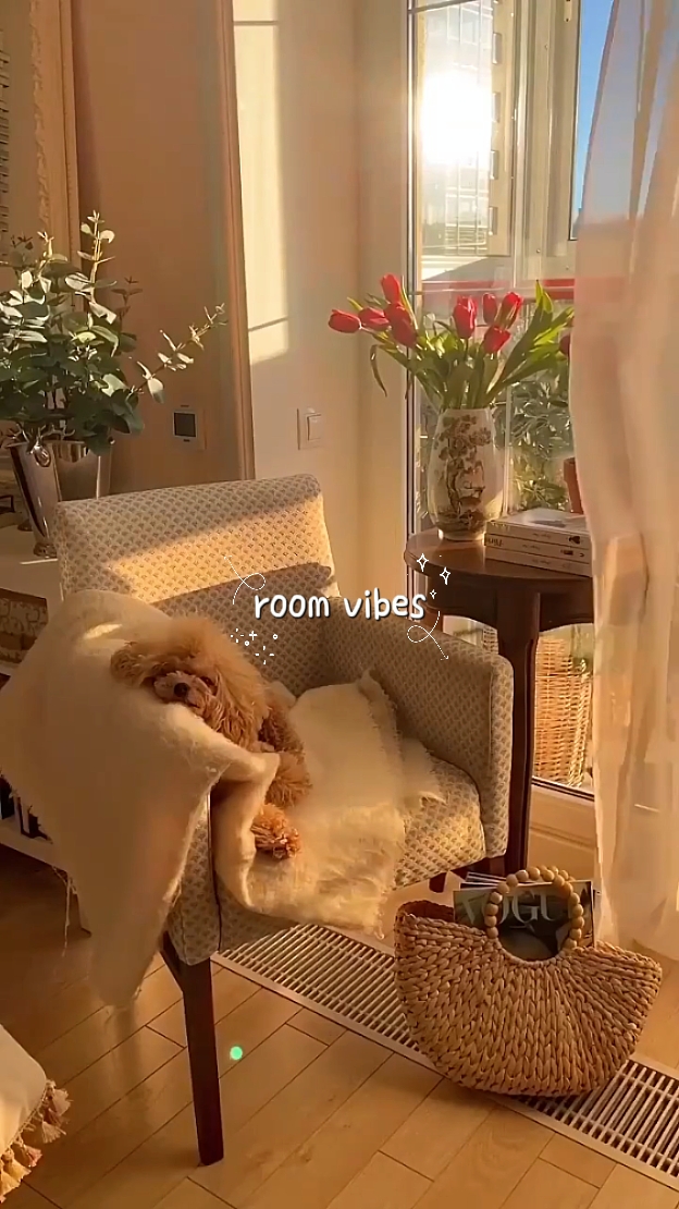 room vibes