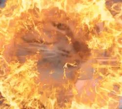 anomali explosion