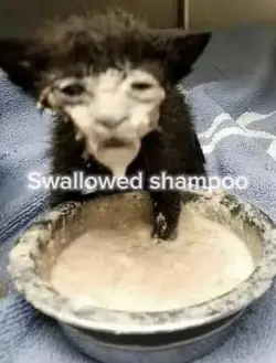 SWALLOWED SHAMPOO