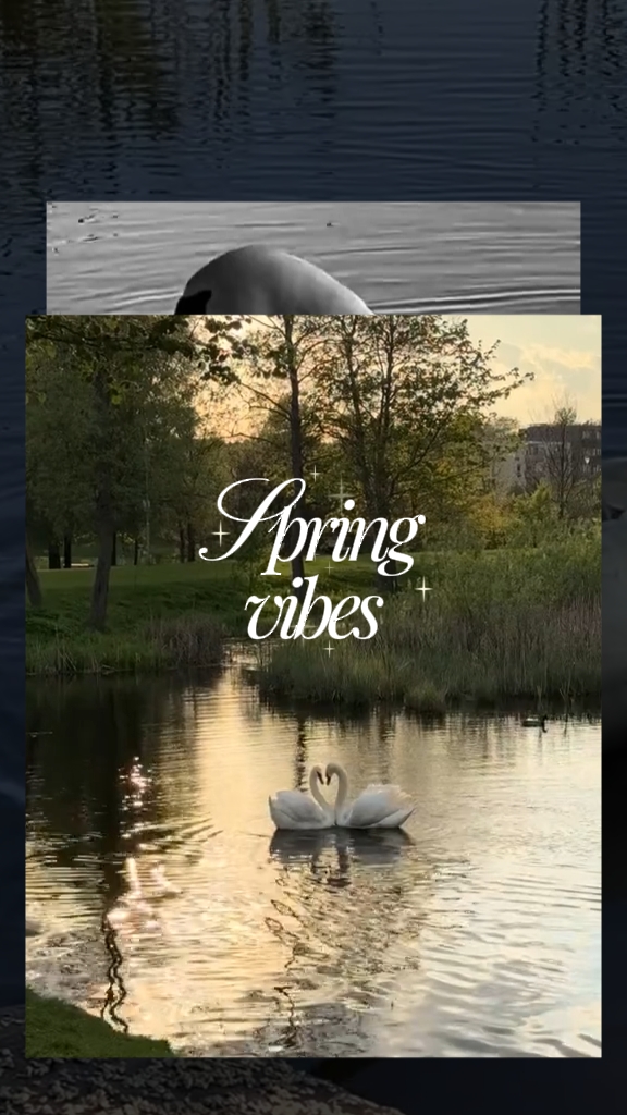spring vibes