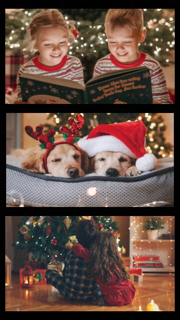 Vibrações de natal