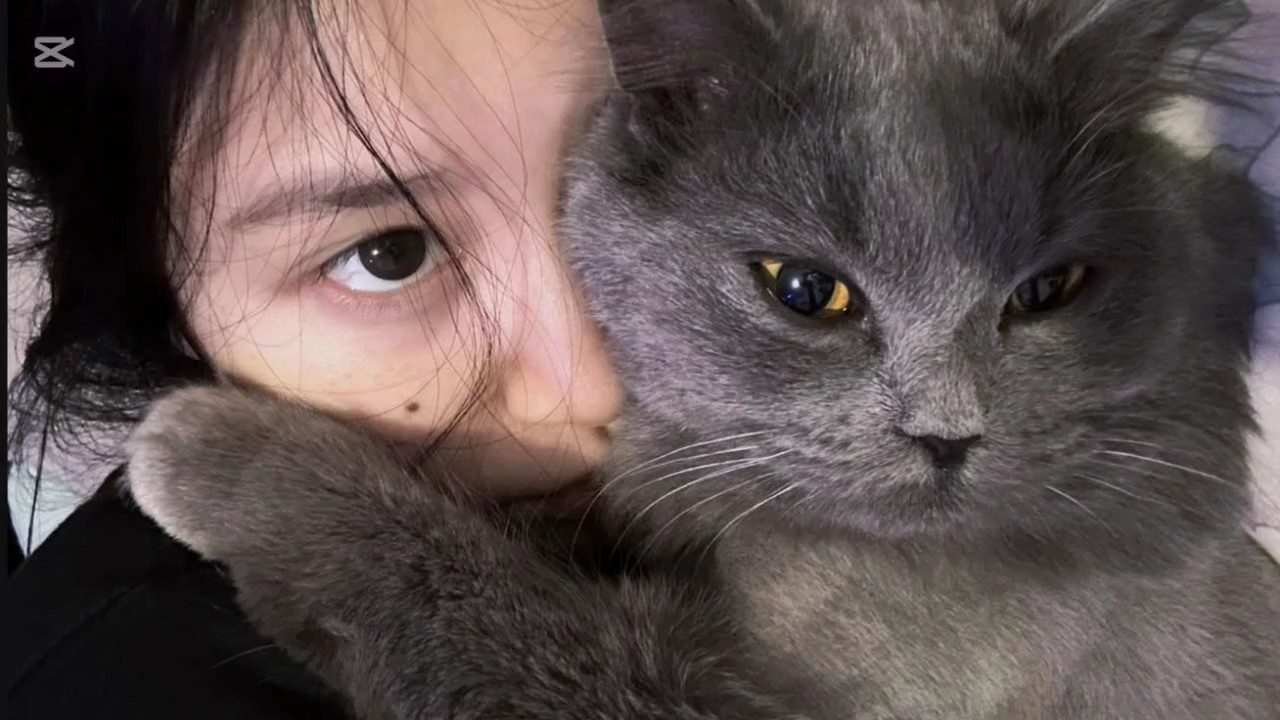 16: 9 estética 