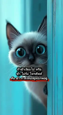 ถ้าข้าเงียบไป