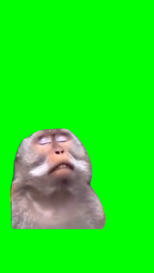Monkey Prayer 