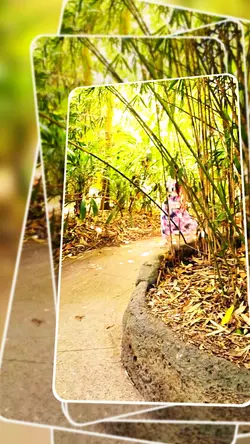 sidhu Michael Jordan