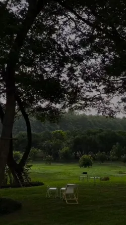 ไลฟ์โฟโต้