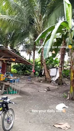 nasuya ka? igat mnka