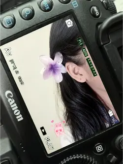 Sinta 